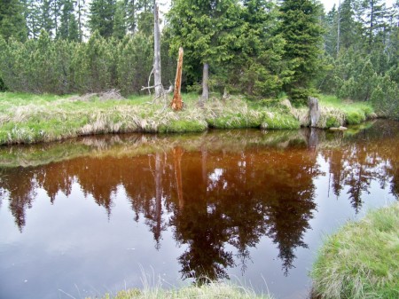 Jizerka 6