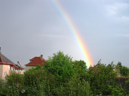 kvtnov duha