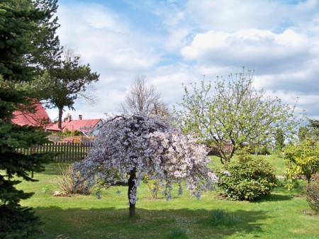 kvten 2010 2