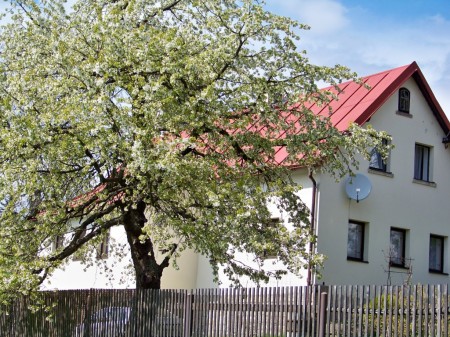 kvten 2010 2