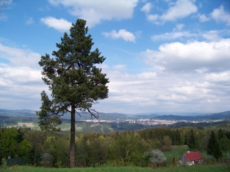 kvten 2010 2