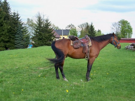 kvten 2010 2