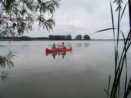 erven 2010 1