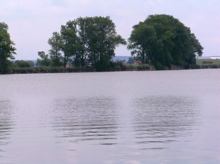 erven 2010 1