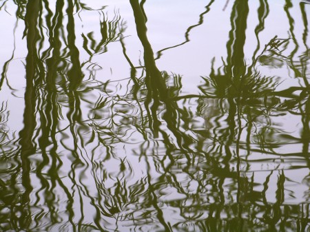 erven 2010 1