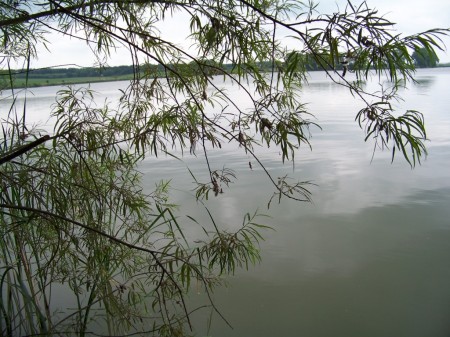 Zrcadlo