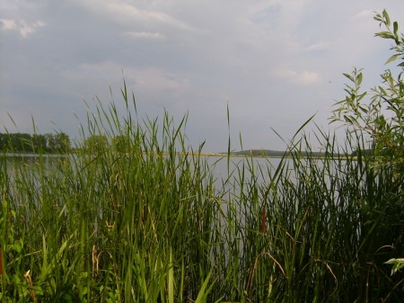 Zrcadlo obr