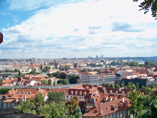 z prask vyhldky