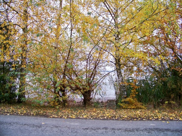 poben strci