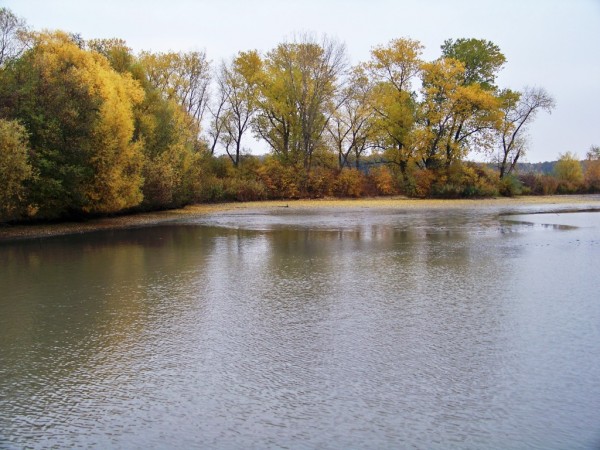 podzim je tady