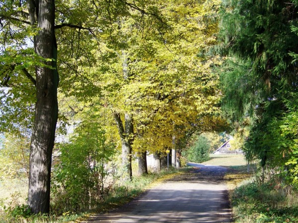 cesta ke Svojku