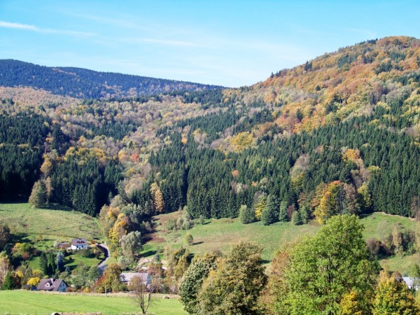barevn les