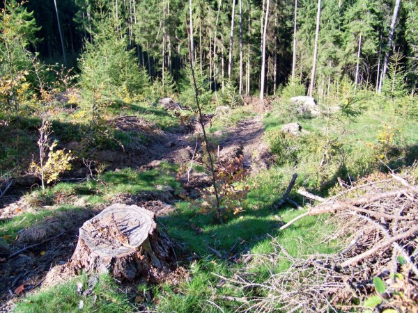 po tb deva
