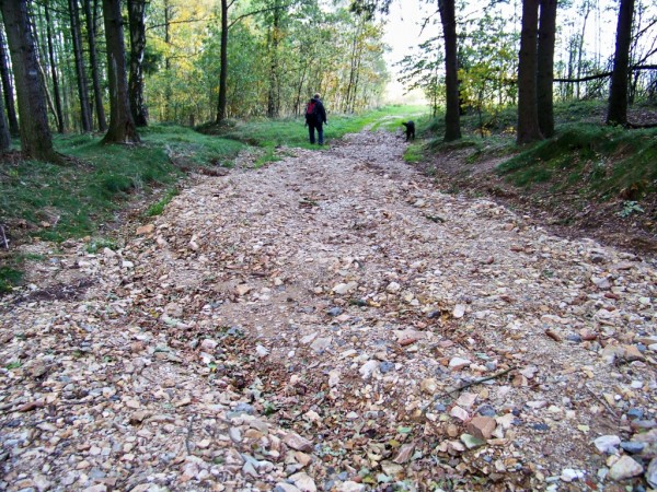 znien cesta