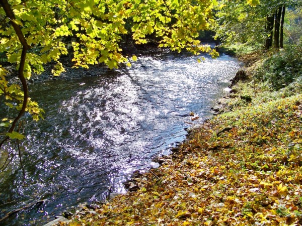 v ztoin