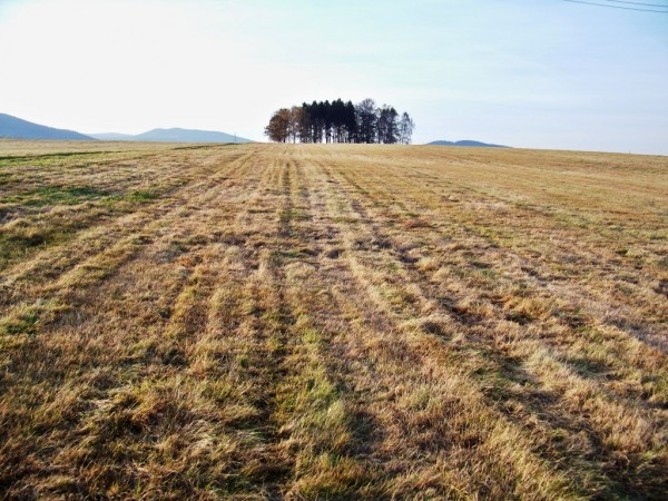 podzimn louka