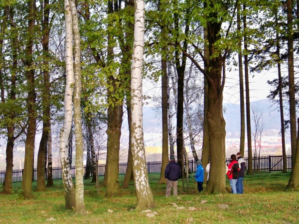 mal zastaven