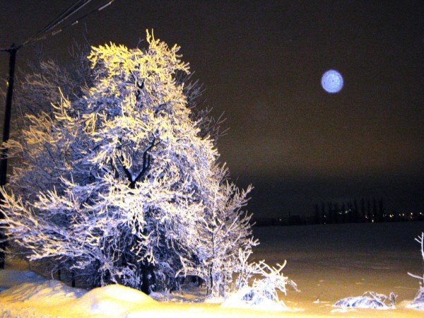 Silvestrovsk noc