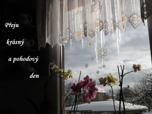 pohled z okna