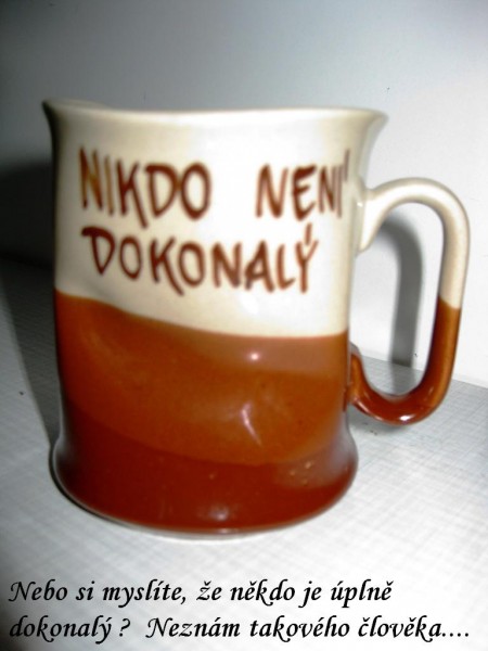 nikdo nen dokonal