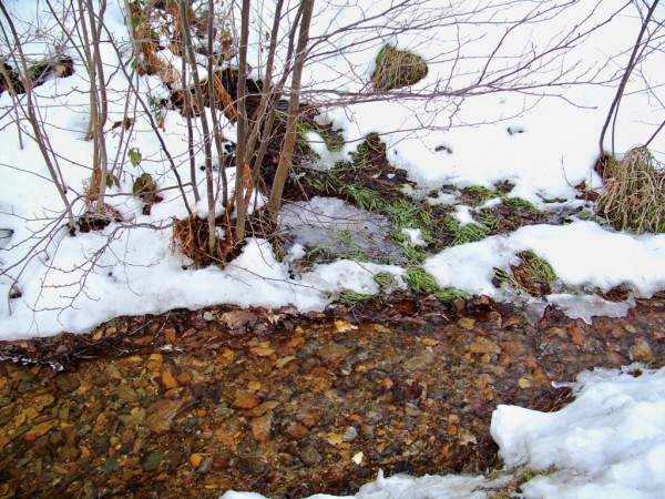 prochzka 11