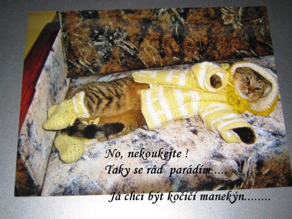 u Kolcku 001