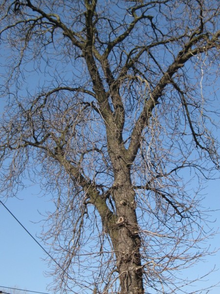 bezen 2001 030