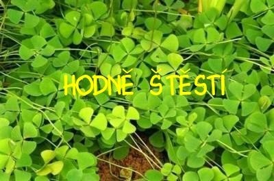 hodn_____t__st__