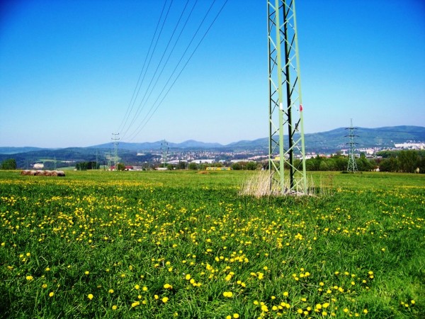 z lesa dom