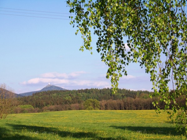 pohled ze Zdislavy 8