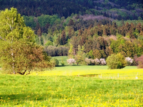 pohled ze Zdislavy 3