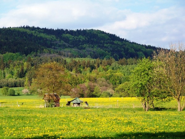 pohled ze Zdislavy 6
