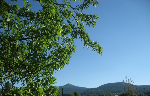 erven 2010 1