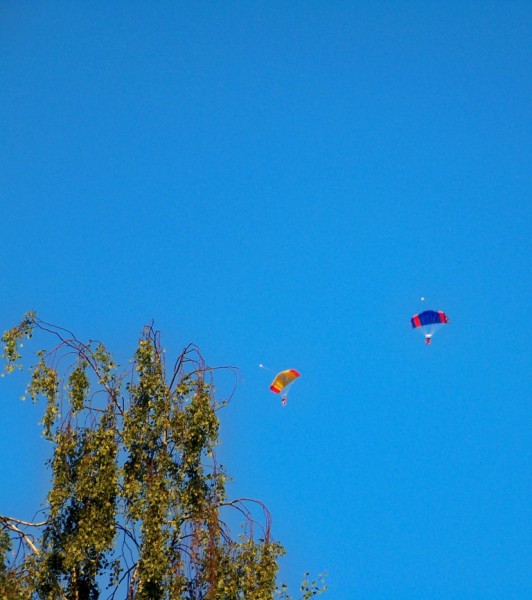 parautisti