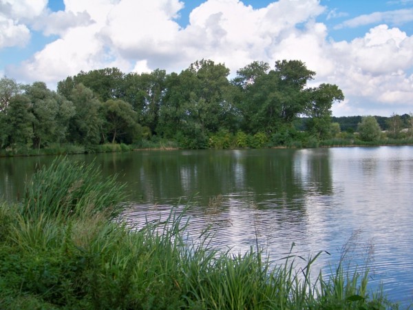 Zrcadlo 5