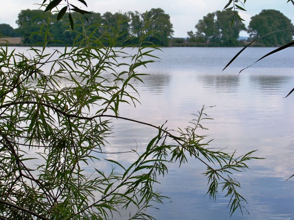 Zrcadlo 14