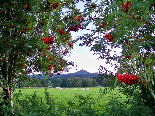 podveern idylka