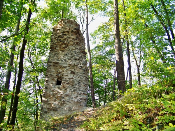 st jedn ve