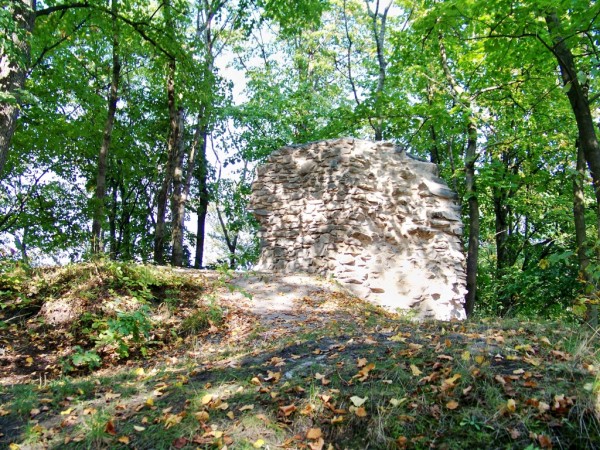 dochovan zbytky hradu