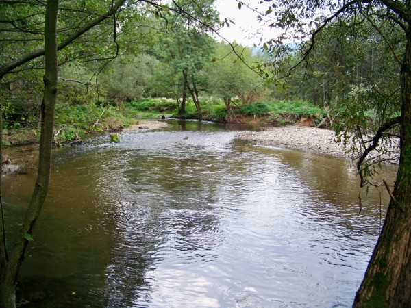 ztoina na Nise