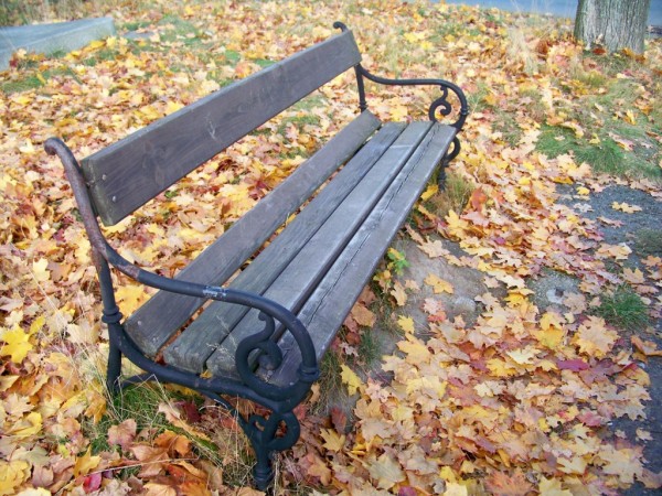 lavika