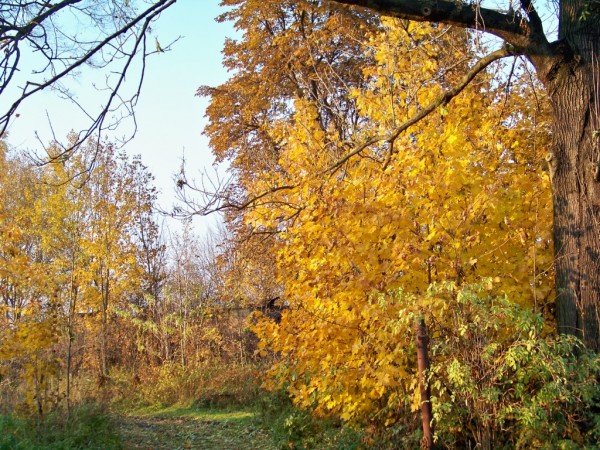 barvy podzimu 3