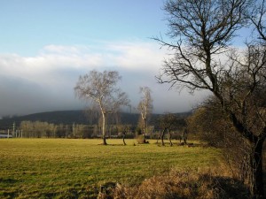 schovan Jetd