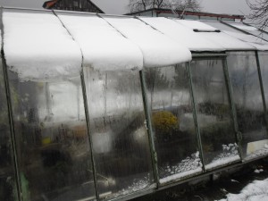 leden 2012 006