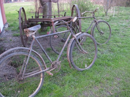 bicykly