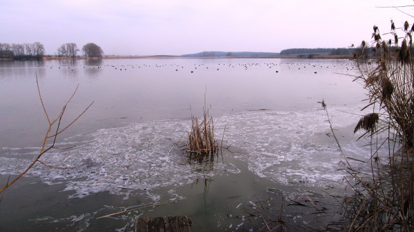 Zrcadlo 3