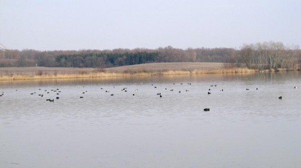 Zrcadlo 5
