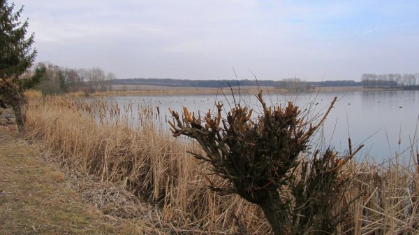 Zrcadlo 10