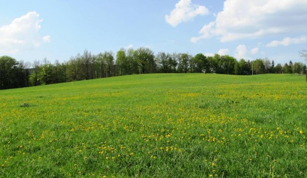 louka za bunkrerm