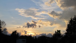 IMG_1423
